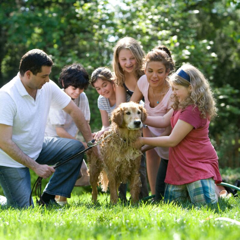 A Florida family spending time together outdoors, symbolizing household eligibility considerations for Medicaid and Medicare programs.